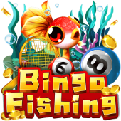 Bingo Fishing arcade with bingo balls and fish